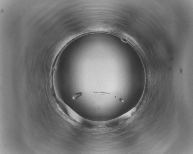 X0000070881236200606191307