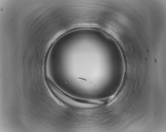 X0000070881237200606191307