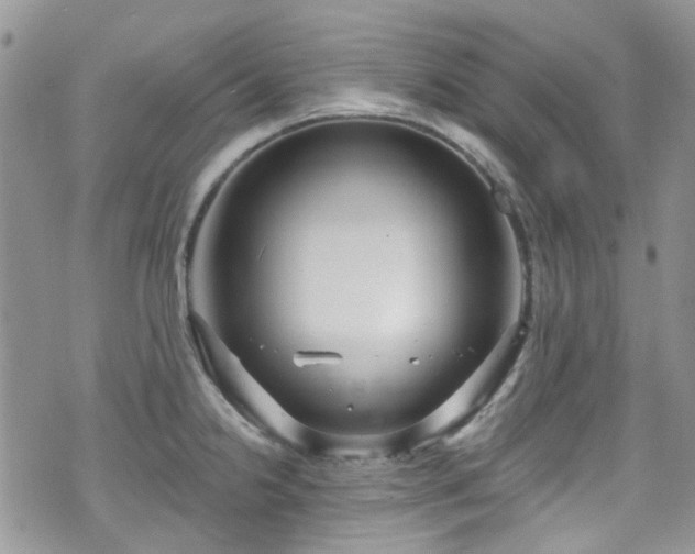 X0000070881238200606191307