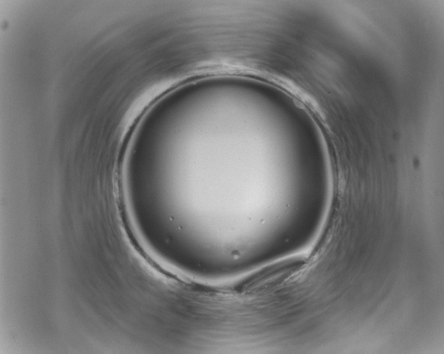 X0000070881239200606191307