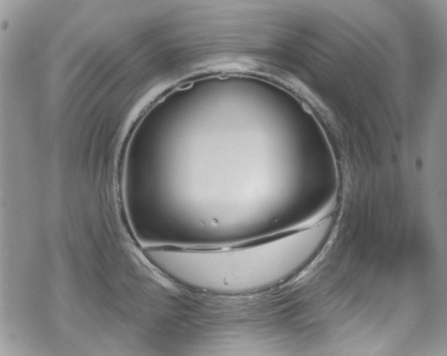 X0000070881240200606191307