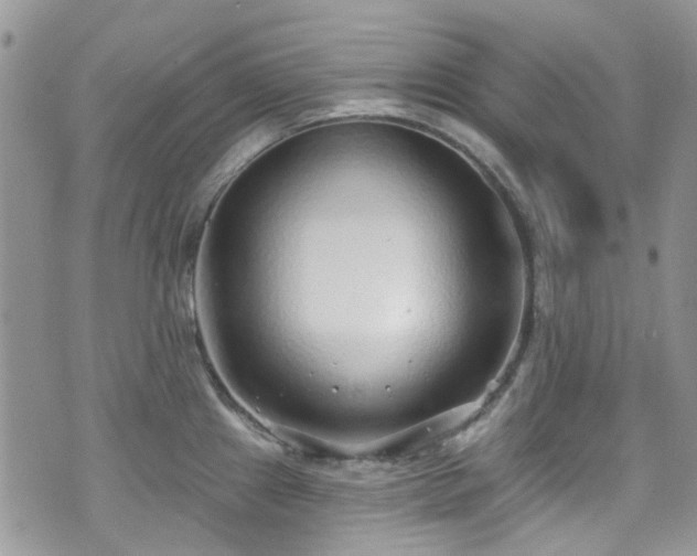 X0000070881241200606191307