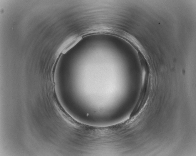 X0000070881242200606191307