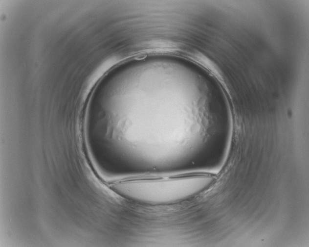 X0000070881243200606191307