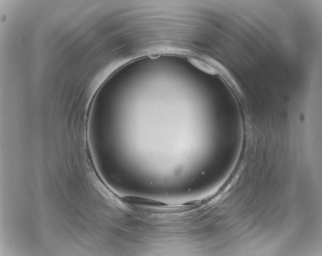 X0000070881244200606191307