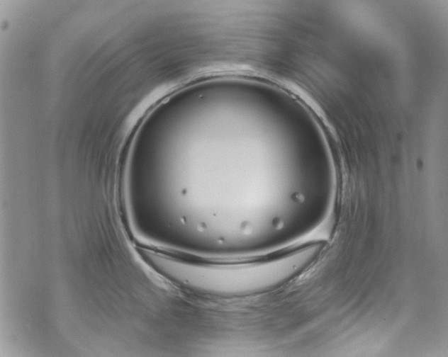 X0000070881245200606191307