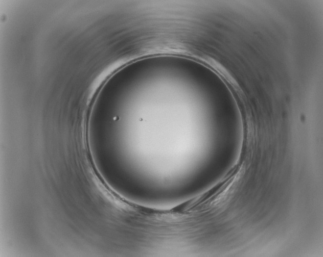 X0000070881246200606191307