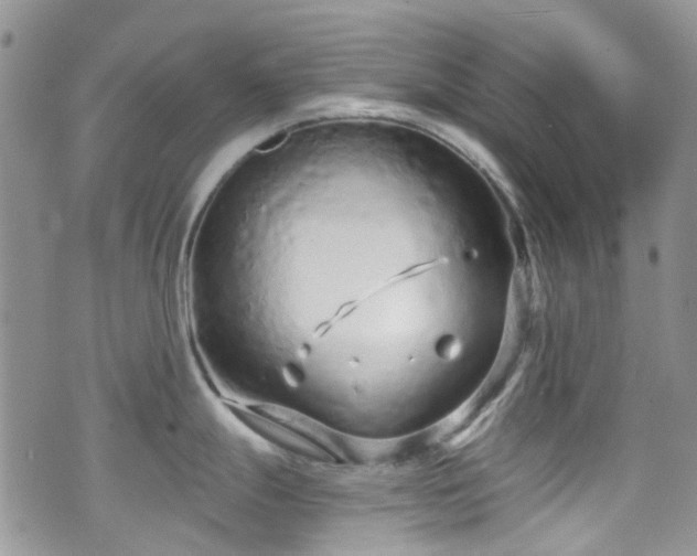 X0000070881247200606191307