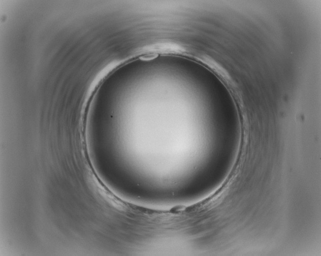 X0000070881248200606191307