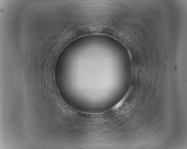 X0000070881249200606191306