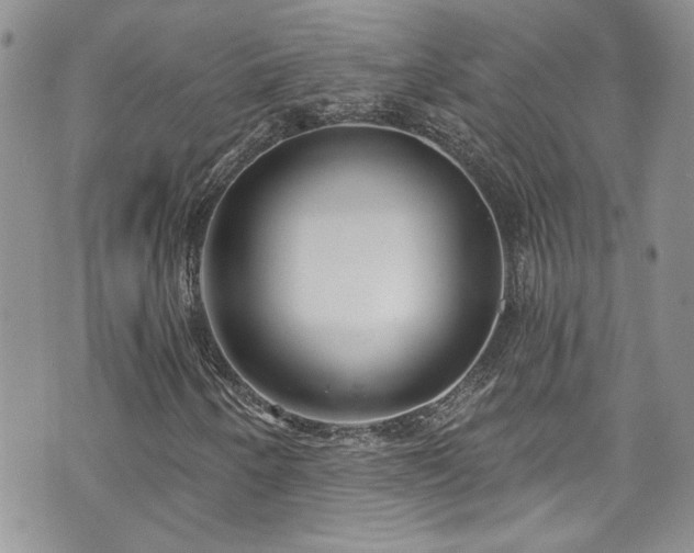 X0000070881250200606191306