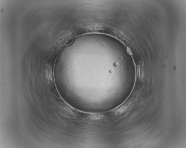 X0000070881251200606191306