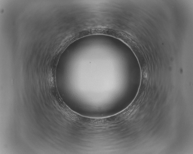 X0000070881252200606191306