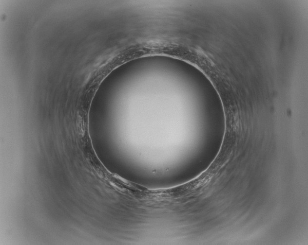 X0000070881253200606191306