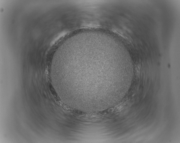 X0000070881254200606191306