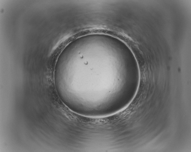 X0000070881255200606191306