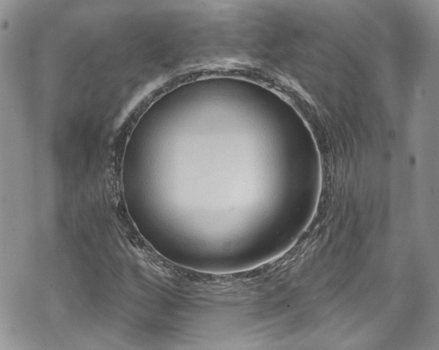 X0000070881256200606191306