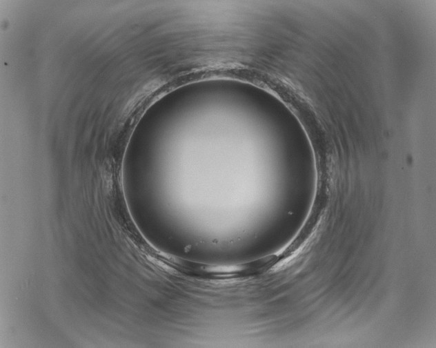 X0000070881257200606191306