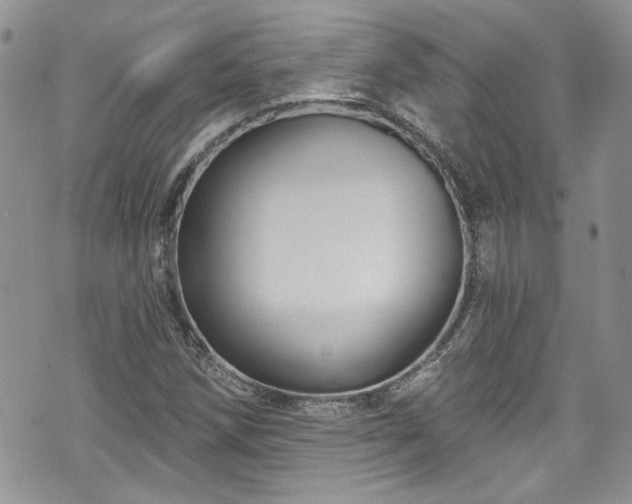 X0000070881258200606191306