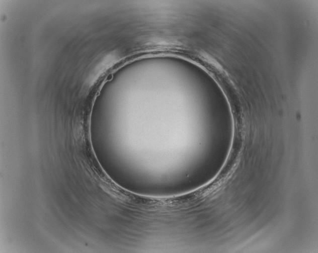 X0000070881259200606191306