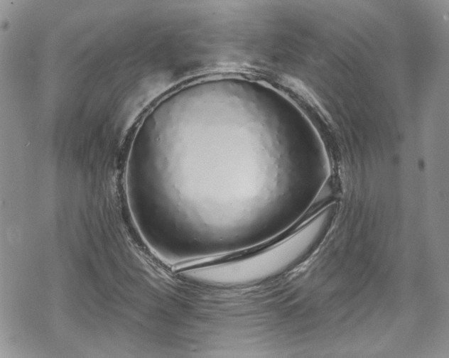 X0000070881260200606191306