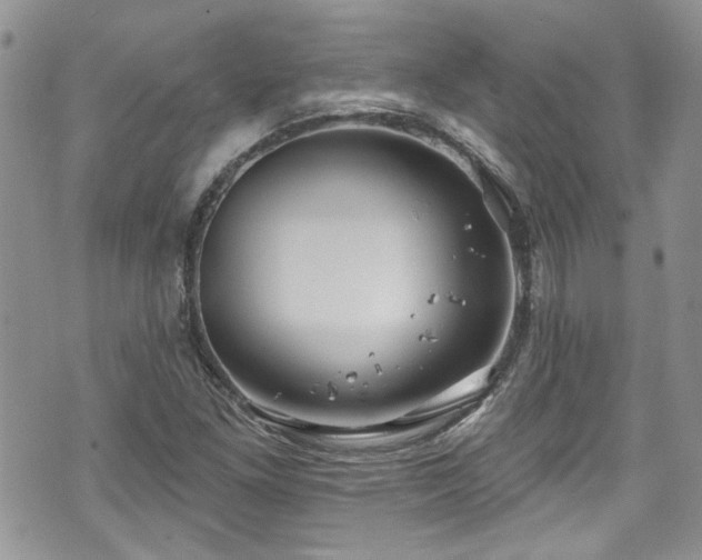 X0000070881261200606191306