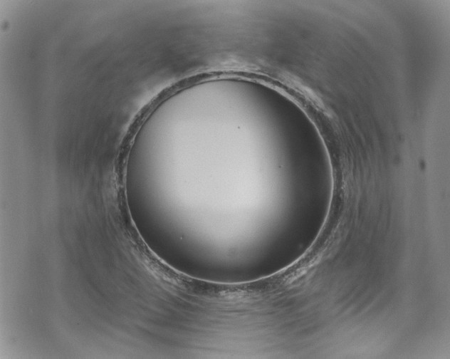 X0000070881264200606191306