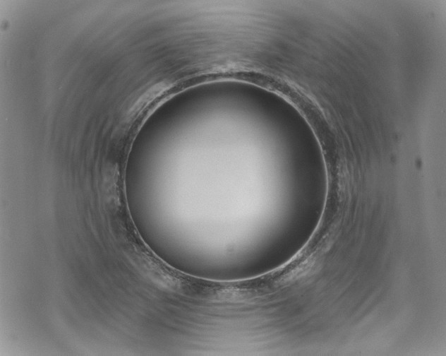 X0000070881265200606191306