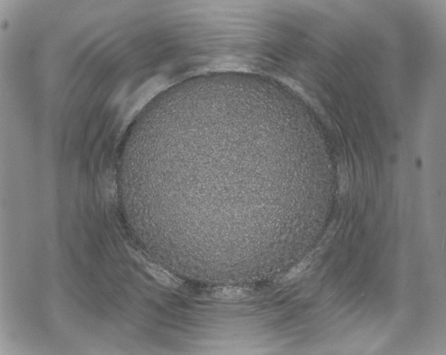 X0000070881266200606191306