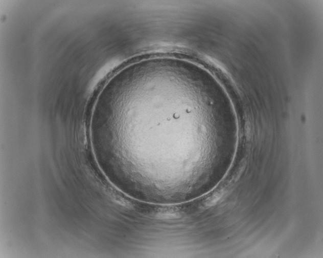 X0000070881267200606191306