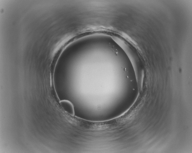 X0000070881269200606191306