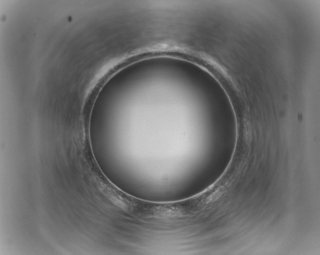 X0000070881270200606191306