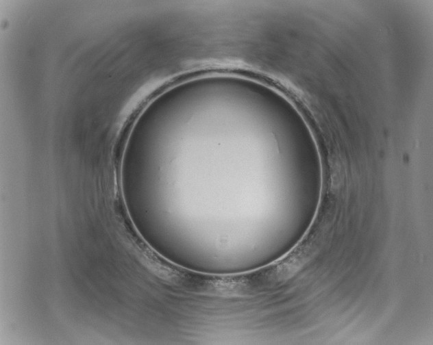 X0000070881271200606191306