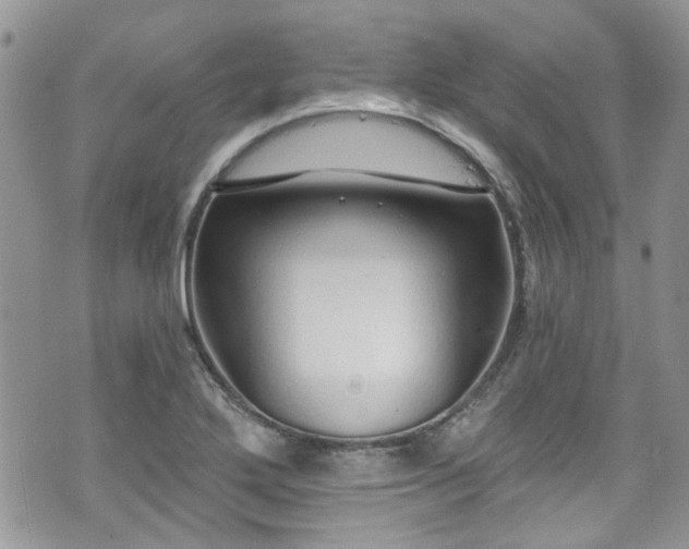 X0000070881272200606191306