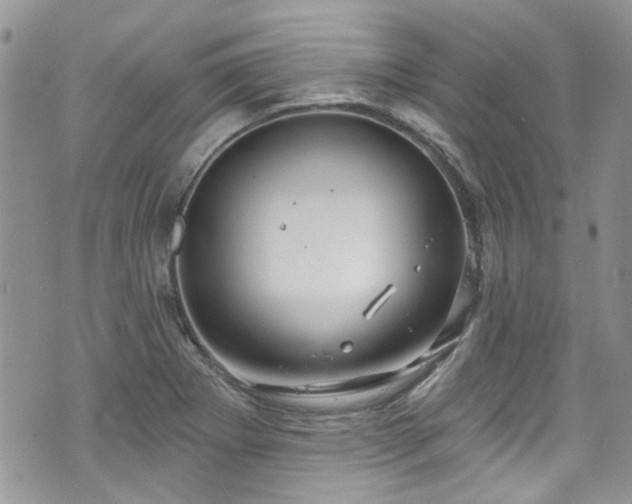 X0000070881273200606191306