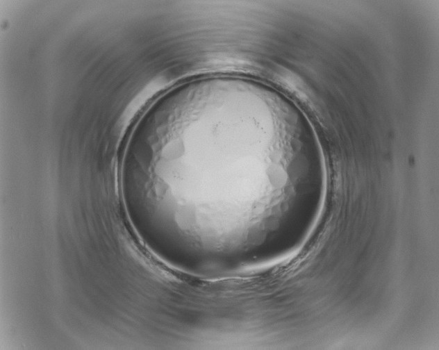 X0000070881275200606191306