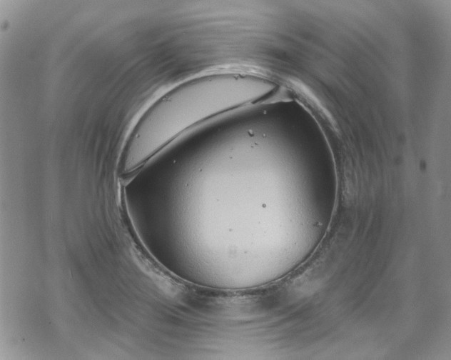 X0000070881276200606191306