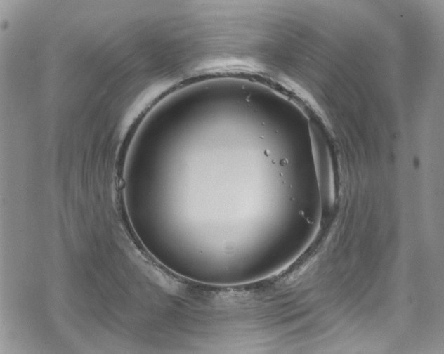 X0000070881277200606191306