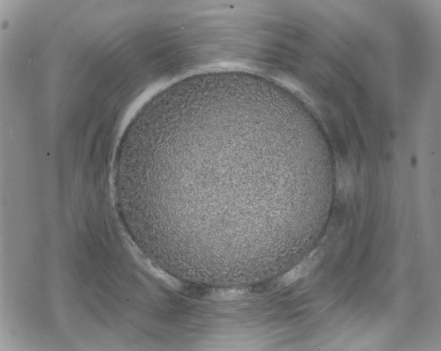 X0000070881278200606191306