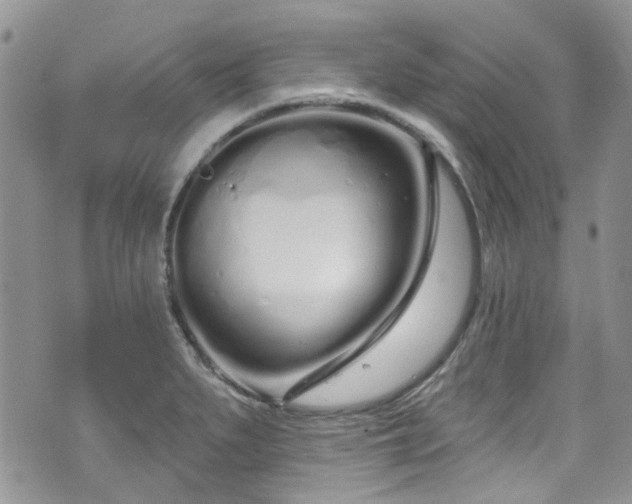 X0000070881279200606191306