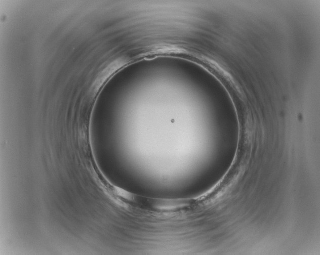 X0000070881281200606191306