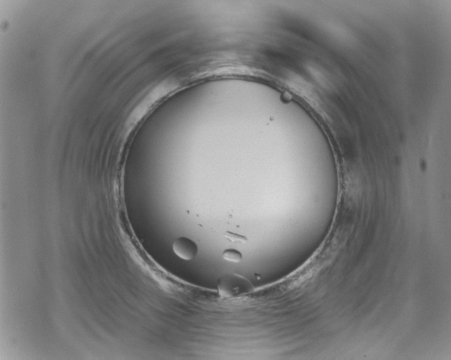 X0000070881282200606191306