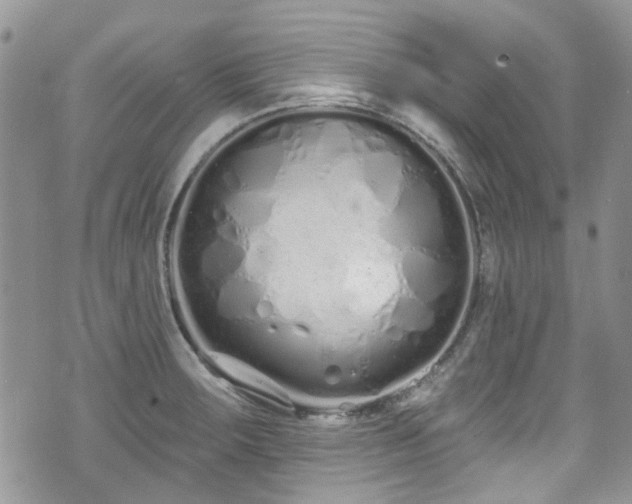 X0000070881283200606191306