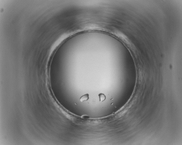 X0000070881286200606191306