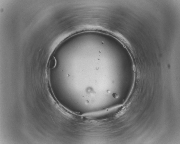 X0000070881287200606191306