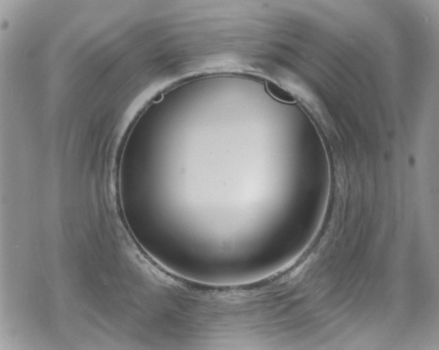 X0000070881288200606191306