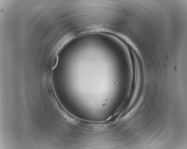 X0000070881289200606191306