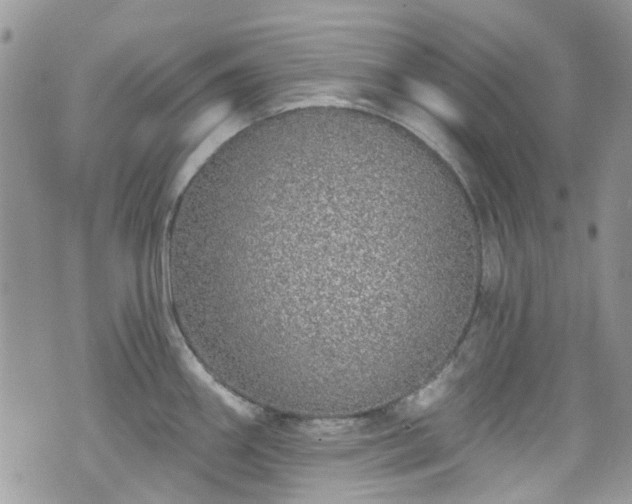 X0000070881290200606191306