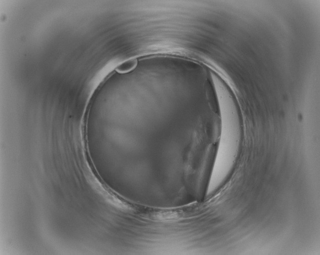 X0000070881291200606191306