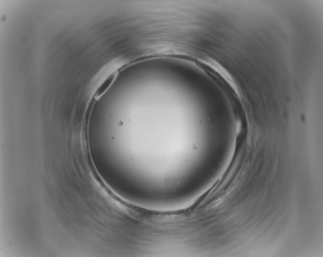 X0000070881293200606191306